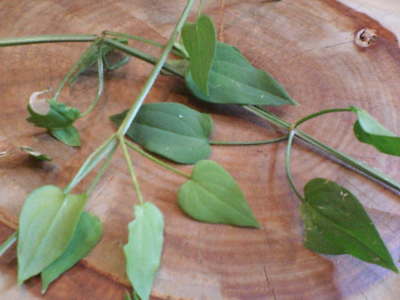 20070509192432.jpg